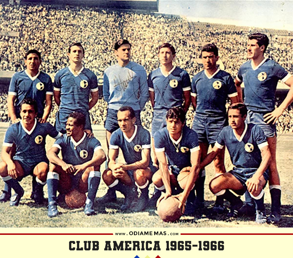 1965-1966
